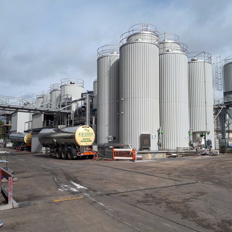 CHEESE-PRODUCTION-MARYLAND-FARMS-SITE-VISIT-site-visit-at-maryland-site-ditcheat